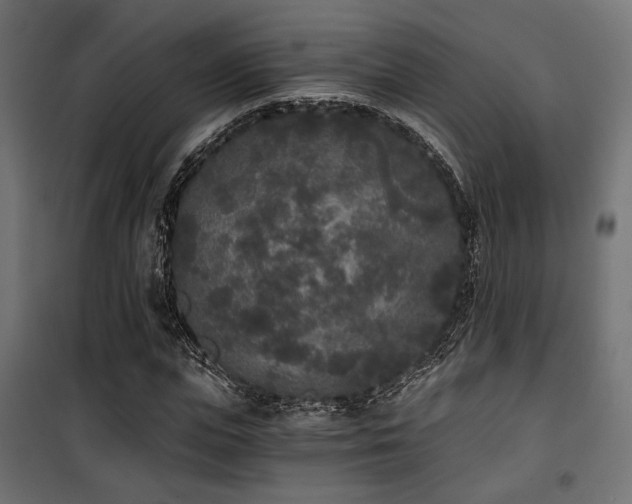 X0000101460823200807071428