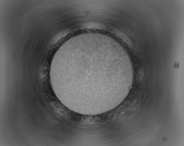 X0000101460824200807071428