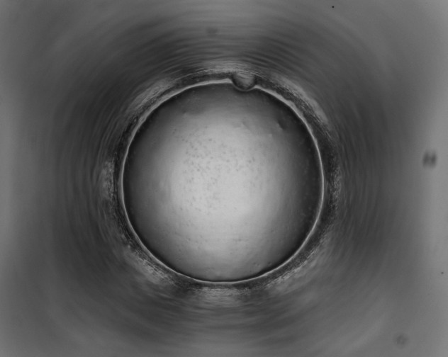 X0000101460825200807071428