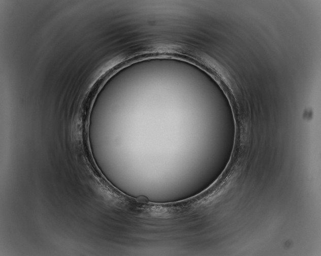 X0000101460827200807071428