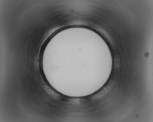 X0000101460828200807071428