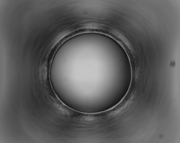 X0000101460829200807071428