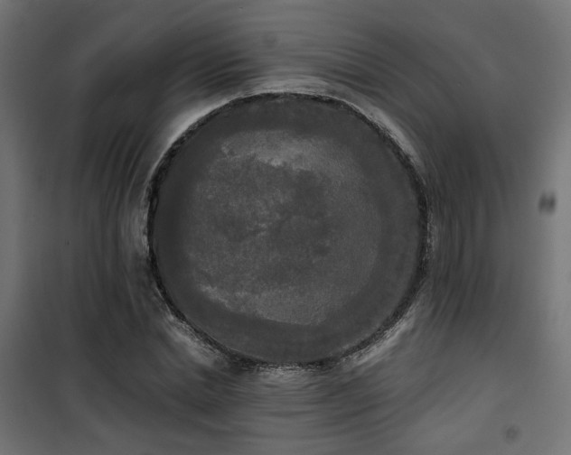 X0000101460830200807071429