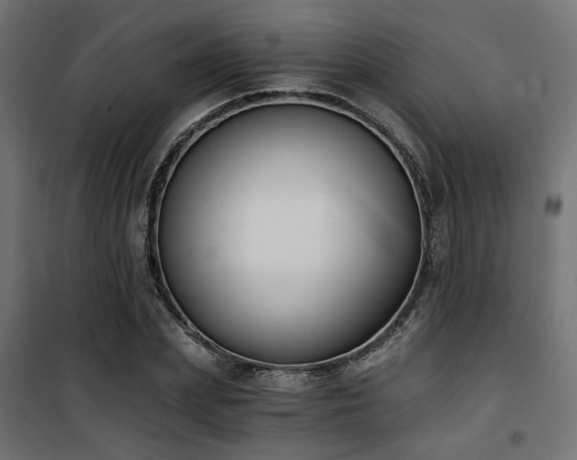 X0000101460831200807071429
