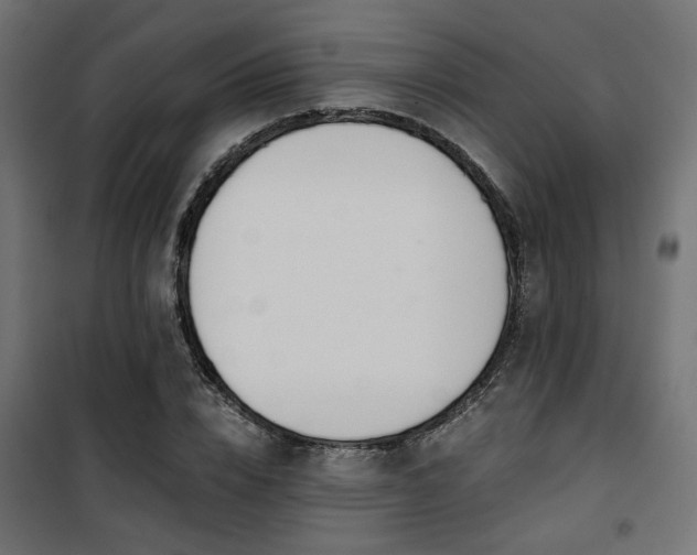 X0000101460832200807071429