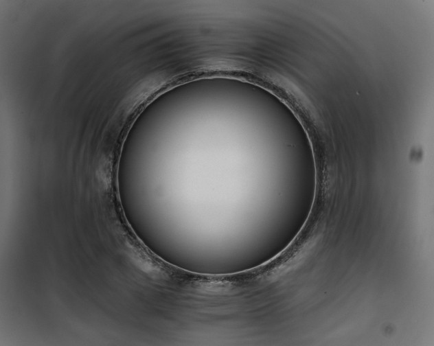 X0000101460833200807071429