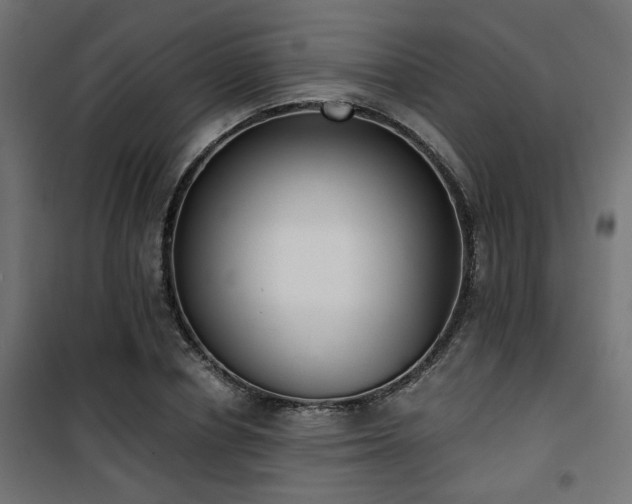 X0000101460834200807071429