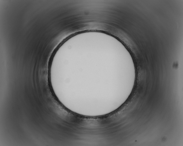 X0000101460836200807071429