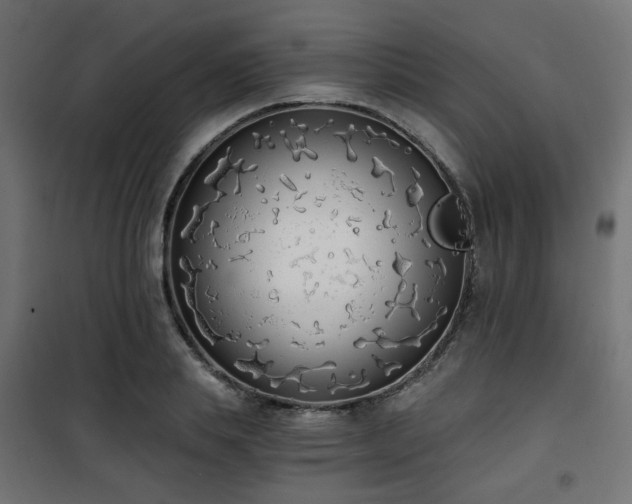 X0000101460839200807071429