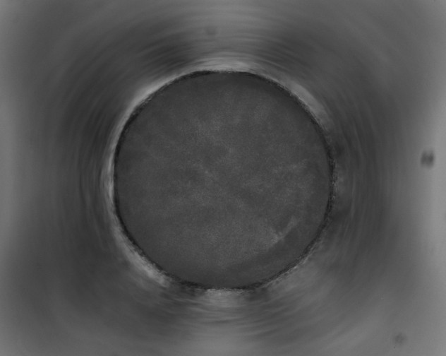 X0000101460840200807071429
