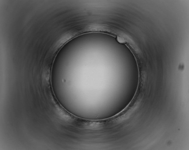 X0000101460841200807071429