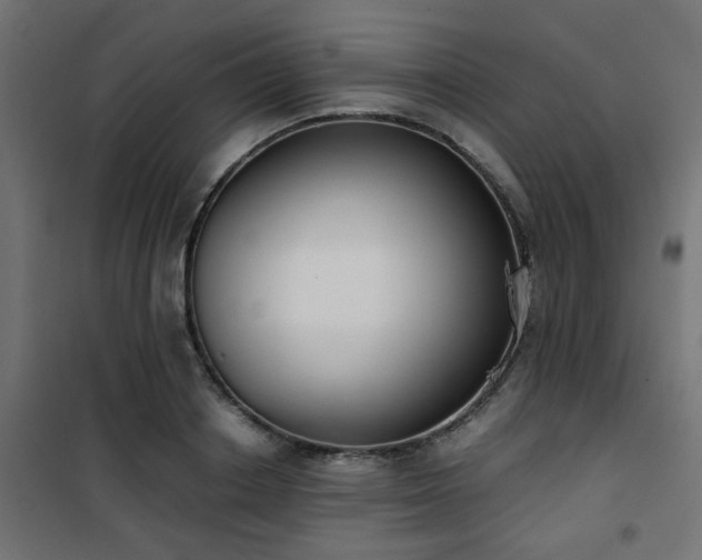 X0000101460842200807071429