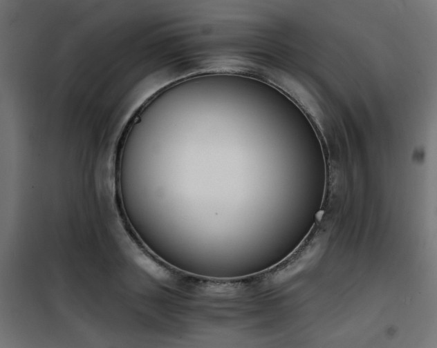 X0000101460843200807071429
