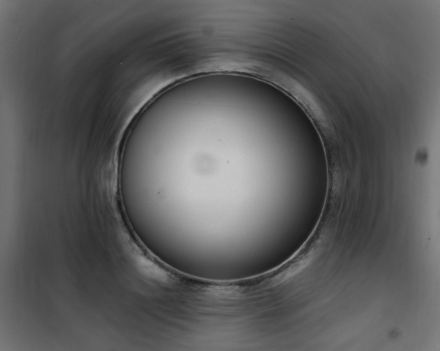 X0000101460844200807071429