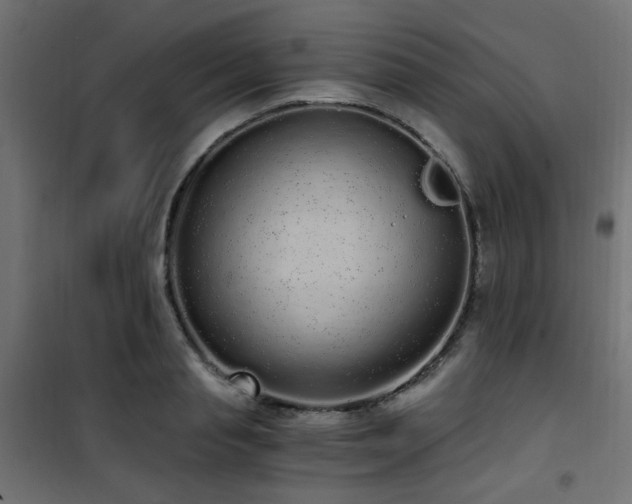 X0000101460845200807071429