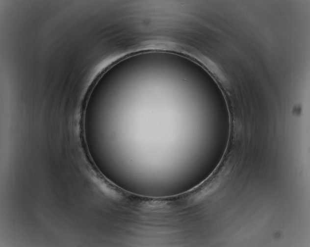 X0000101460846200807071429