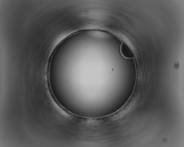 X0000101460847200807071429
