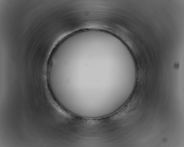 X0000101460848200807071429