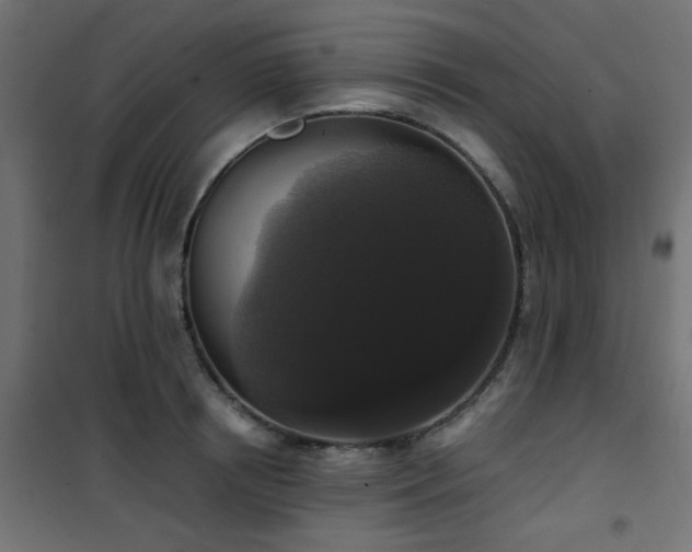 X0000101460850200807071429