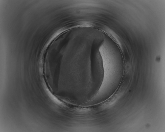 X0000101460851200807071429