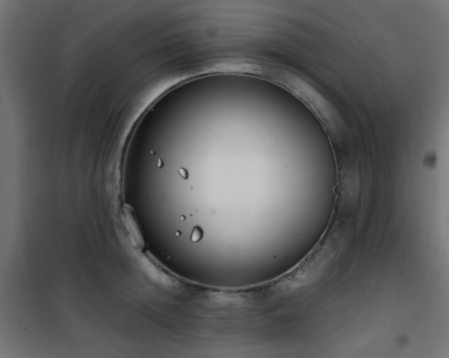 X0000101460852200807071429