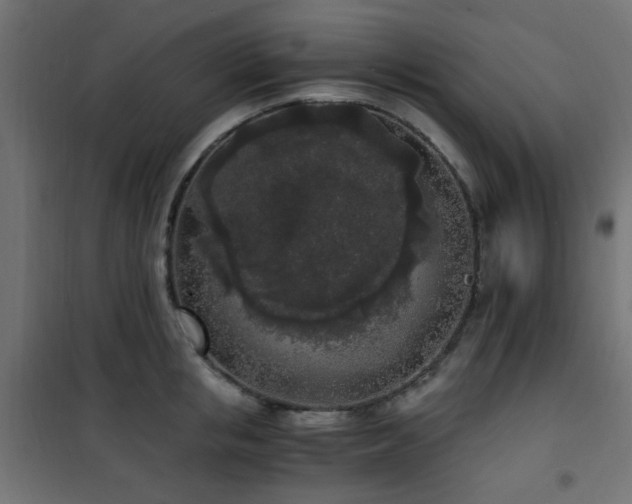 X0000101460853200807071429