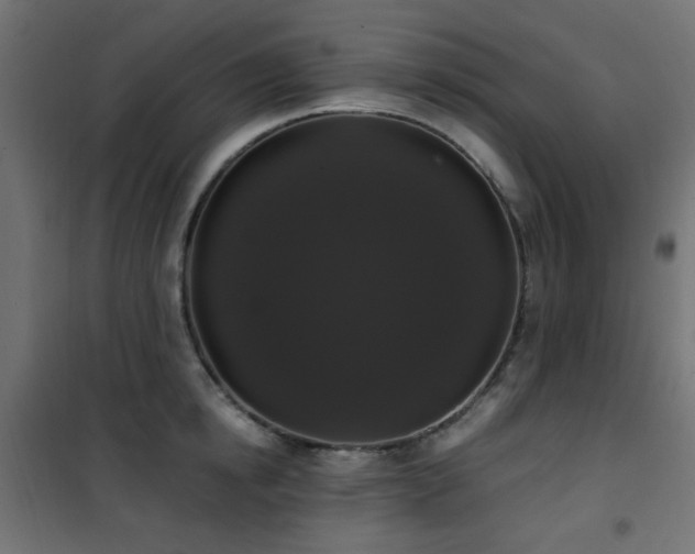 X0000101460854200807071429