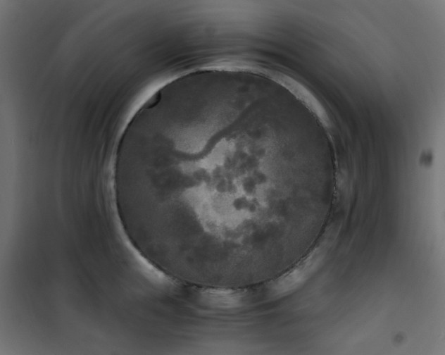 X0000101460855200807071429
