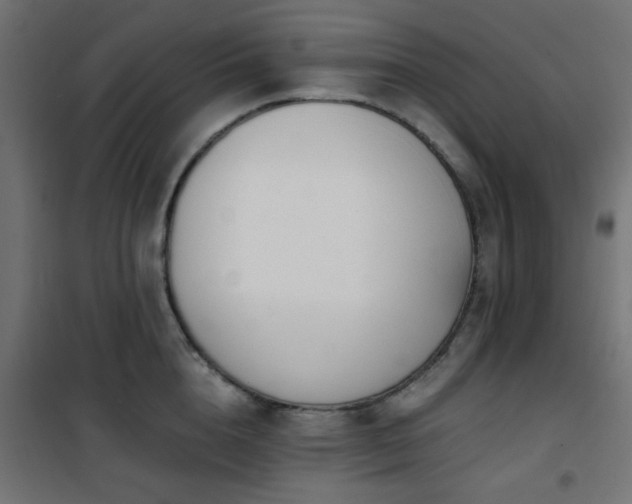 X0000101460856200807071429