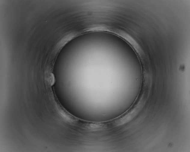 X0000101460857200807071429