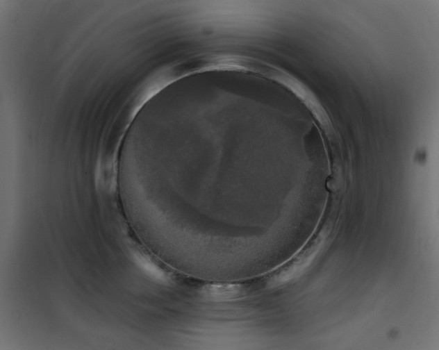 X0000101460858200807071429