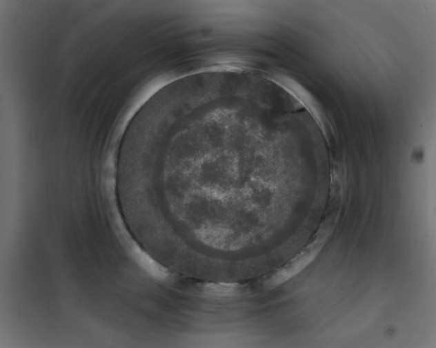 X0000101460859200807071429