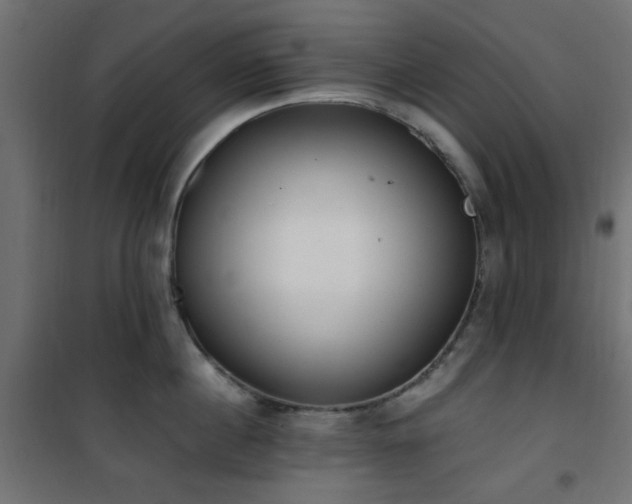 X0000101460860200807071429