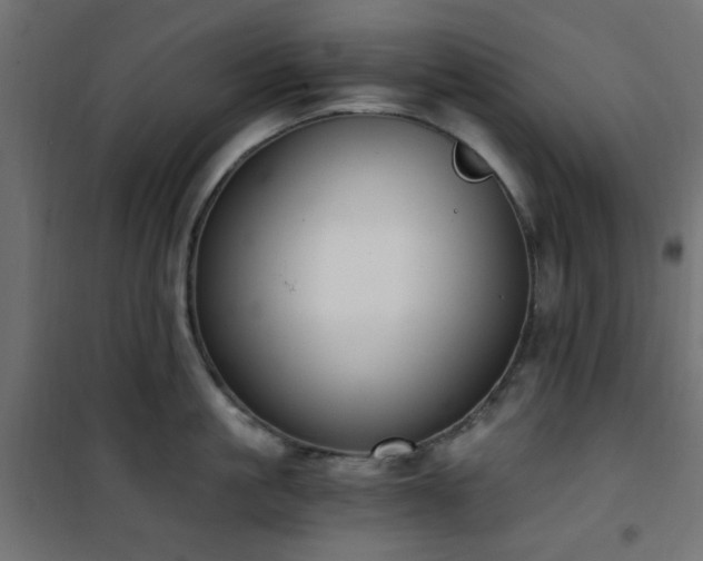 X0000101460861200807071429