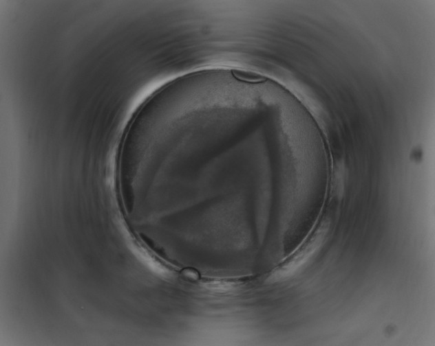 X0000101460862200807071429