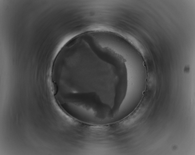 X0000101460863200807071429