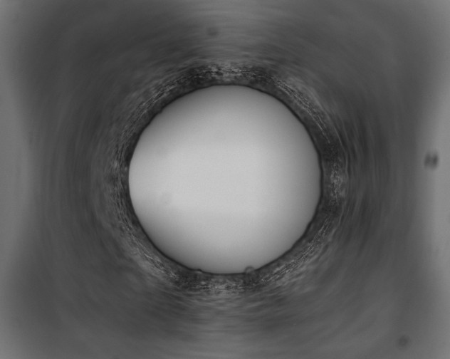 X0000101460865200807071428
