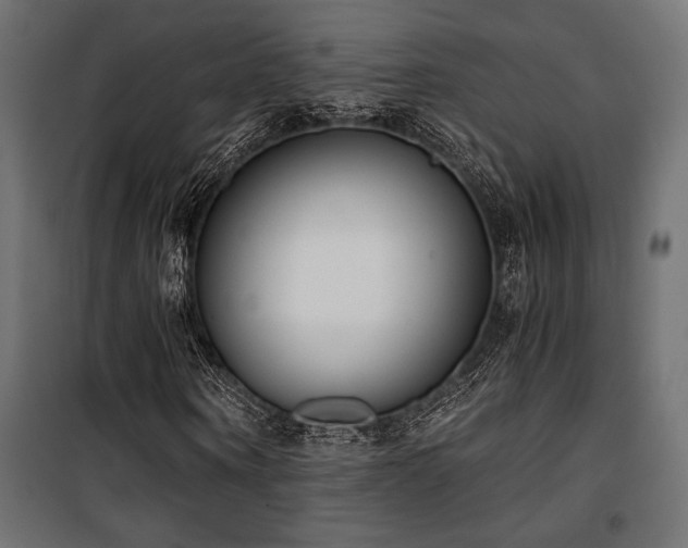X0000101460866200807071428