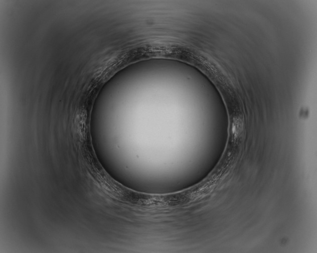 X0000101460867200807071428