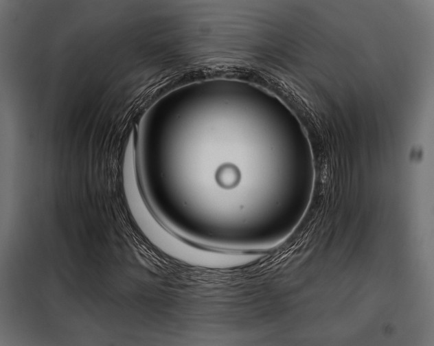X0000101460868200807071428