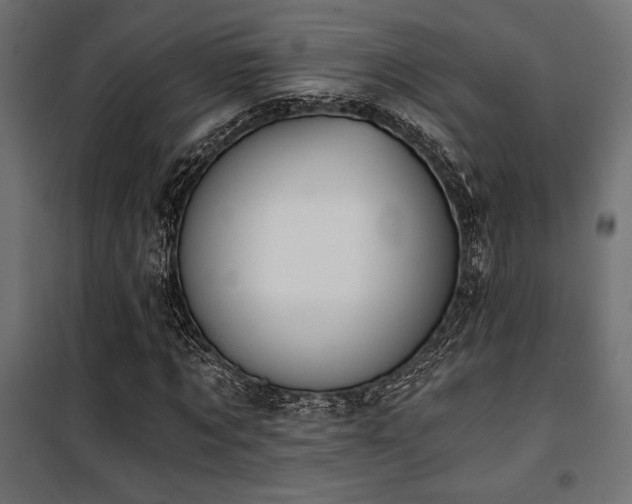 X0000101460869200807071428
