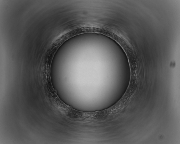 X0000101460870200807071428