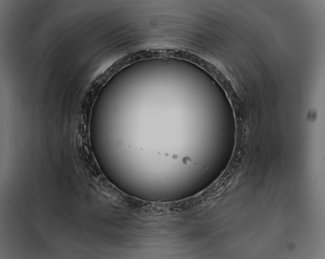 X0000101460871200807071428
