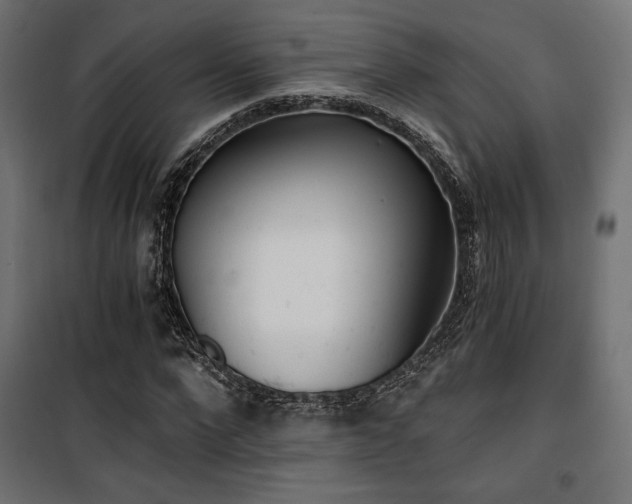 X0000101460872200807071428