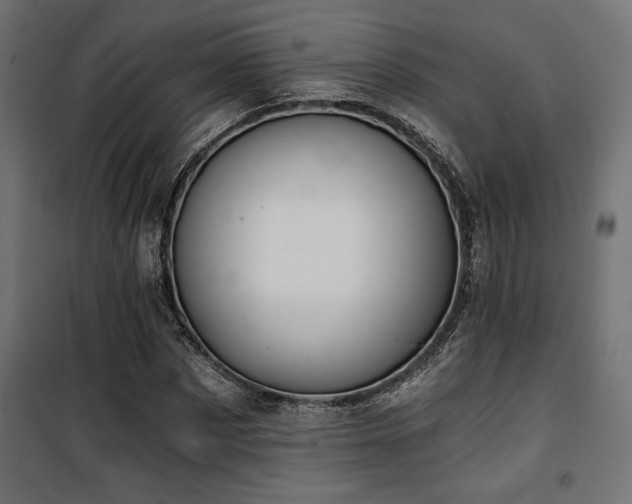 X0000101460873200807071428