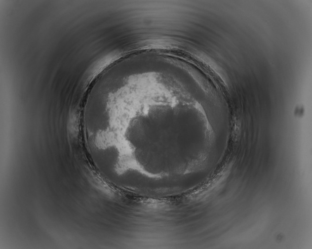 X0000101460874200807071428