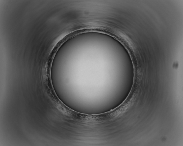 X0000101460875200807071428