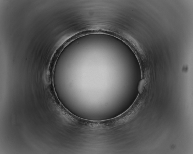 X0000101460876200807071428
