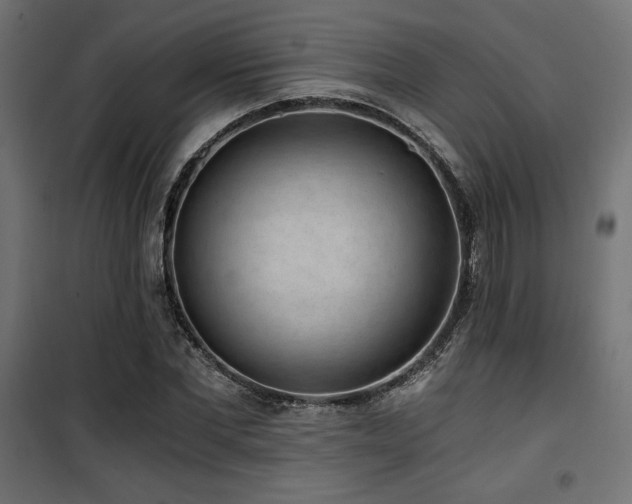 X0000101460877200807071428