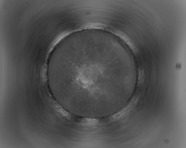 X0000101460878200807071428